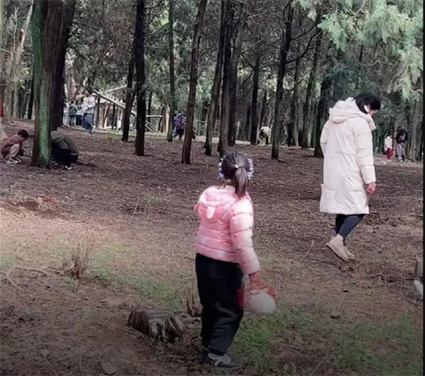 江苏一地上百人带工具进山挖黄金