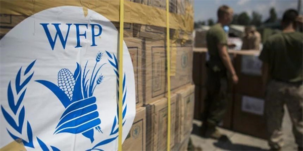 联合国机构与美国暂停对埃塞粮食援助 没送到需要人手上