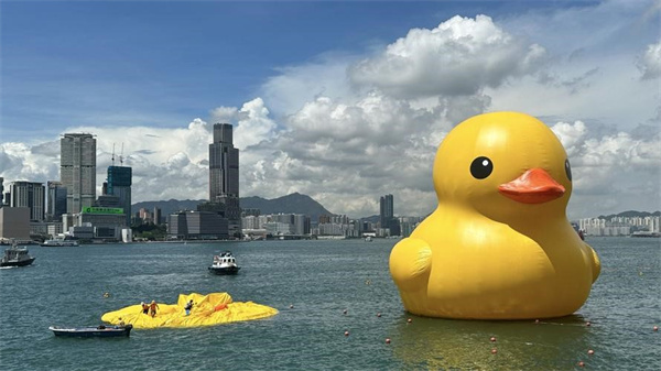 十年后重返香港的大黄鸭热爆了 放气避免风险 突然泄气
