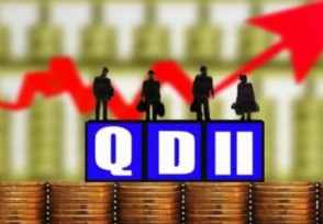 QDIIʲô